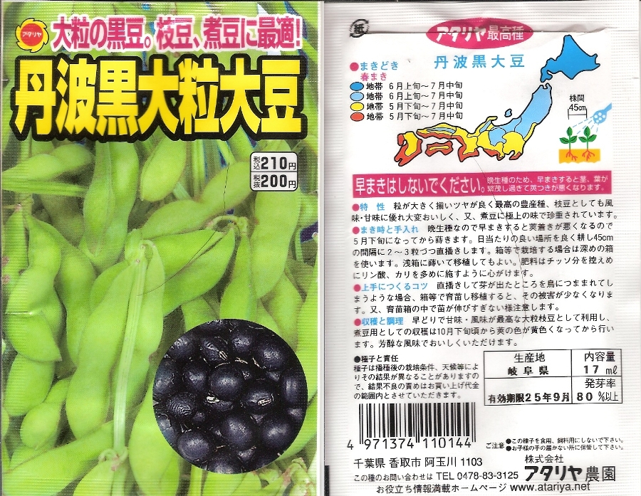 丹波黒大豆　栽培
